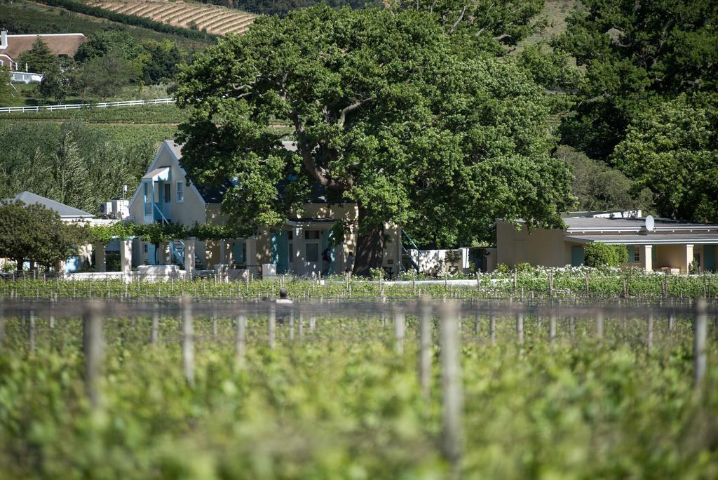 Auberge Clermont Franschhoek Exterior photo